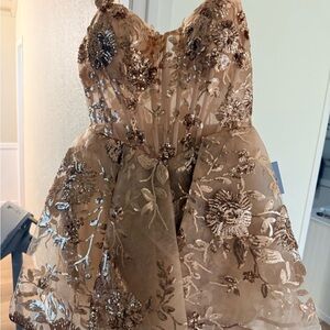 Corset Rose Gold Embellished Dress